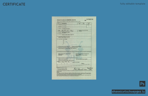 Schottisches Sterberegister – Beispiel einer Sterbeurkunde (Vorschau)